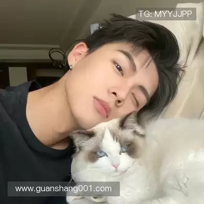 蓬盈晓